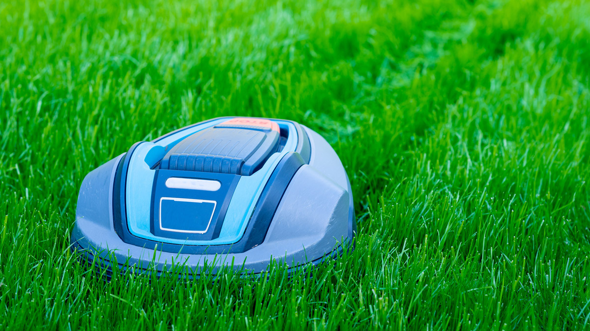 politiker Mindst Nysgerrighed Should you buy a robot lawnmower? | CHOICE