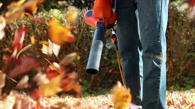 leaf_blower_clearing_leaves_in_garden