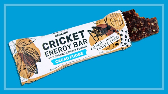Grilo cricket energy bar review | CHOICE