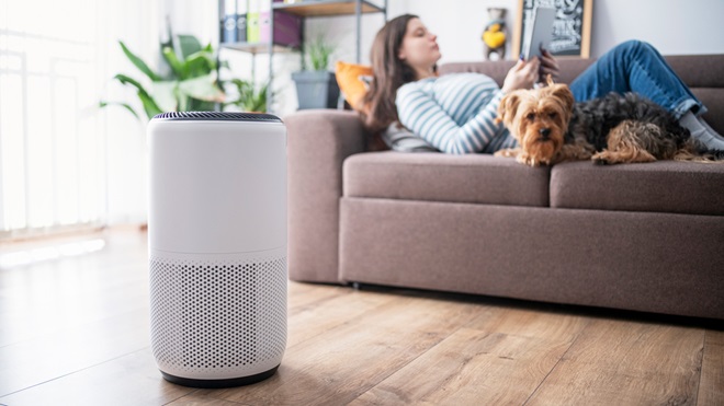 air purifier in a room with a woman sitting on couch
