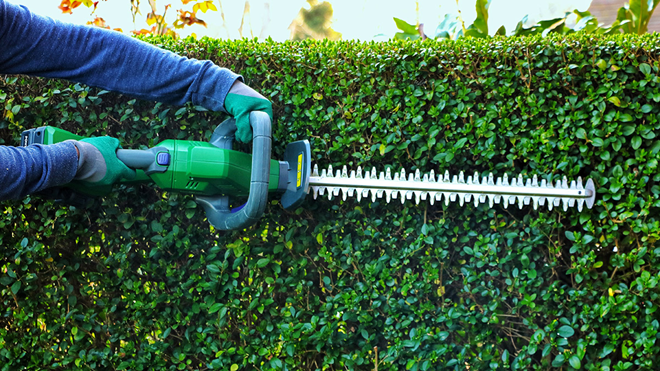 person_cutting_with_hedge_trimmers