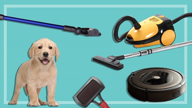 labrador puppy with pet brush and three different vacuum cleaners