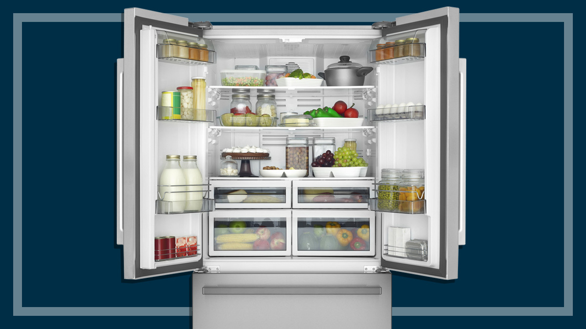 The best fridges for big families CHOICE