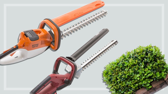 two_hedge_trimmers_and_hedge