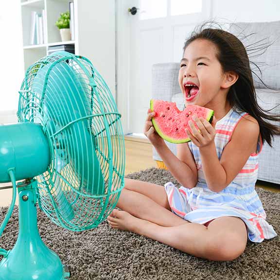 Fans to keep your home cool in summer