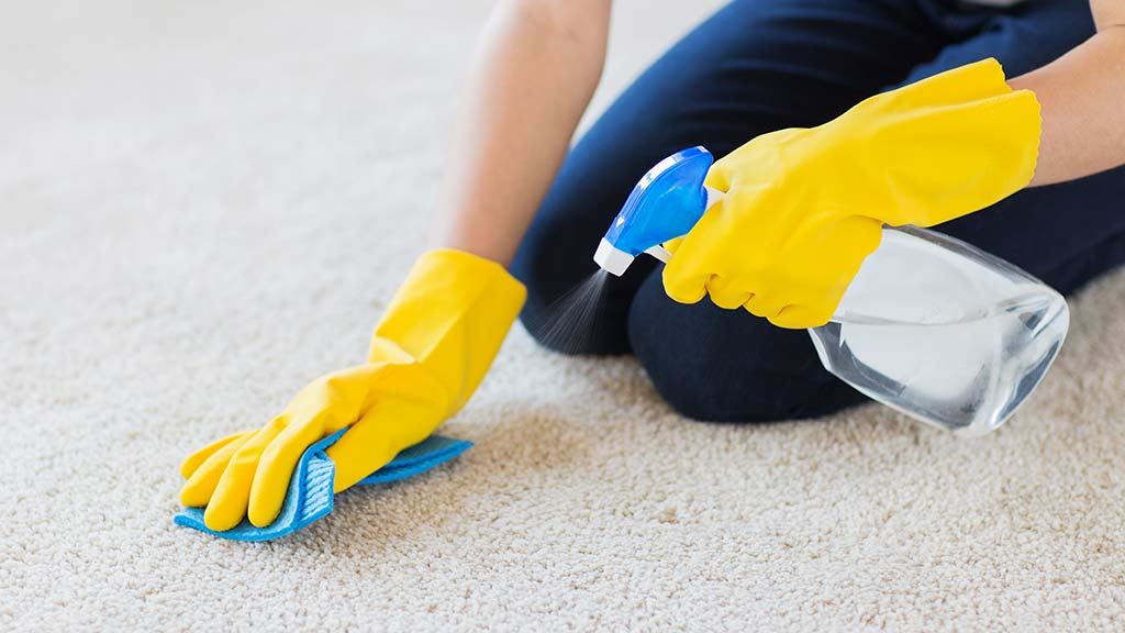 How to buy the best carpet cleaning option for your needs CHOICE