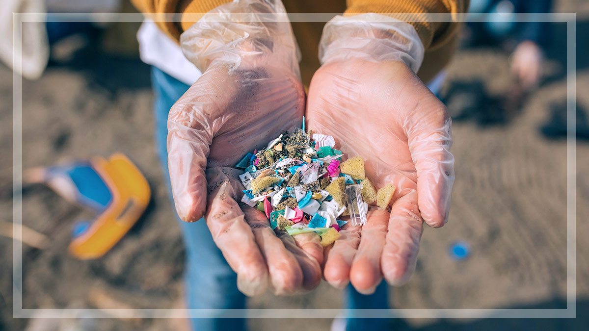 What Are Microplastics And Just How Bad For Us Are They? | CHOICE