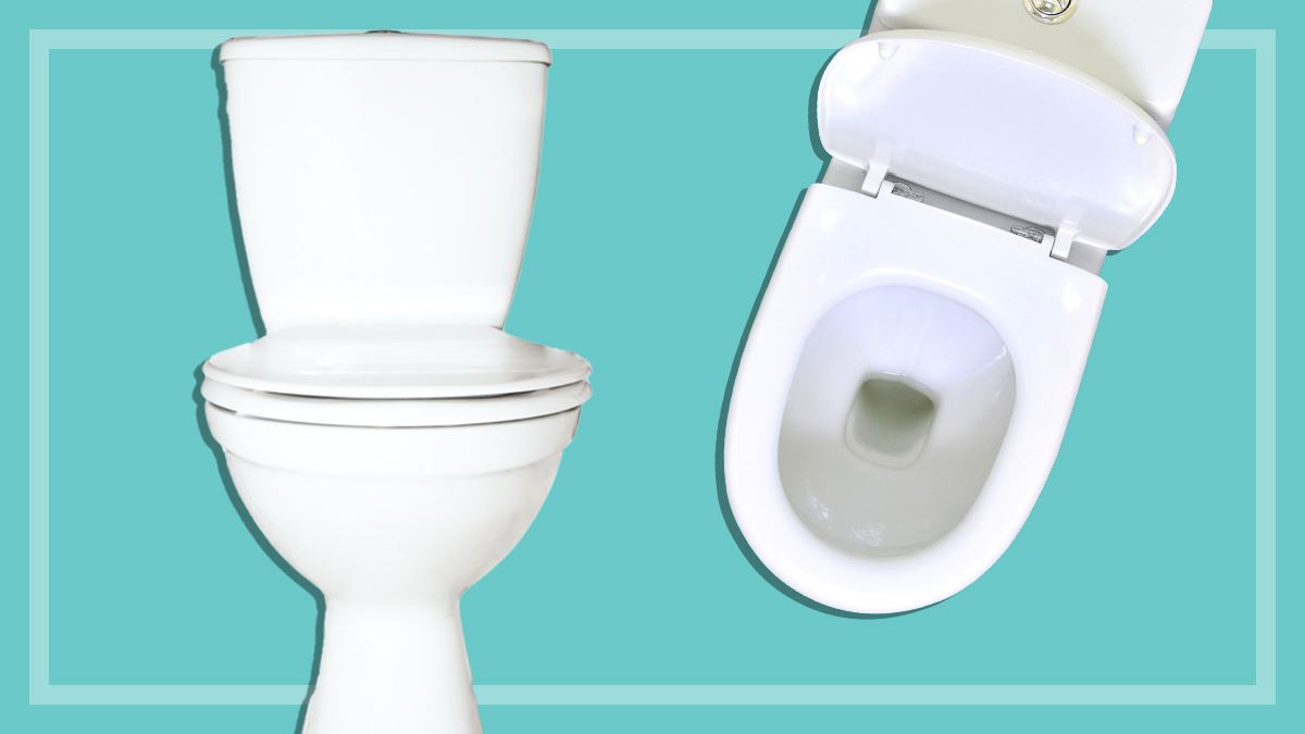 Best Toilets 2023 CHOICE Reviews