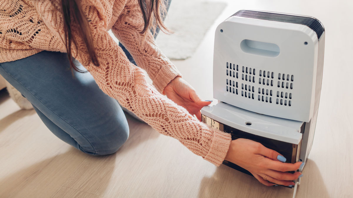 Find A Dehumidifier For Living Room