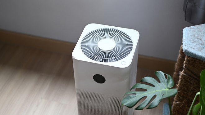Do air purifiers really work?