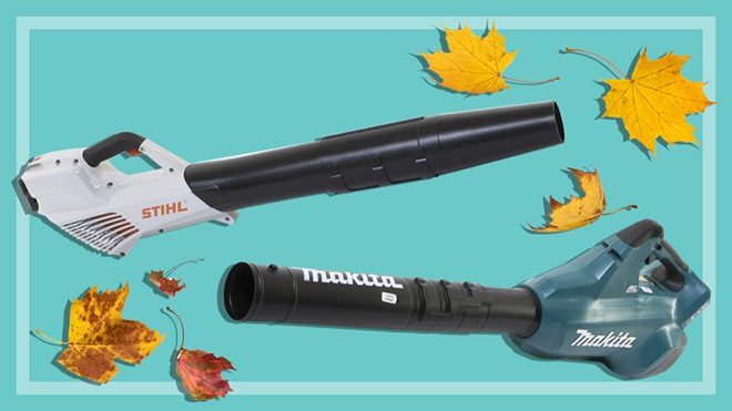 blower vacuums and leaves on a teal background