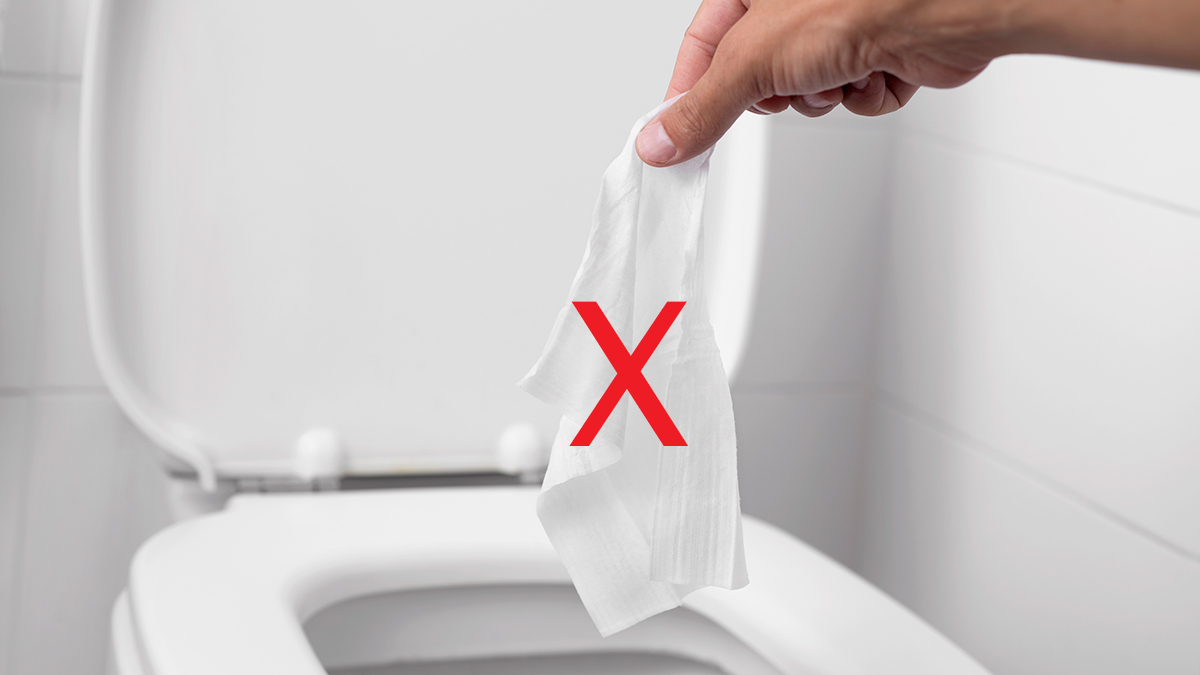 Are You Putting Your Toilet Paper On The Holder Properly?