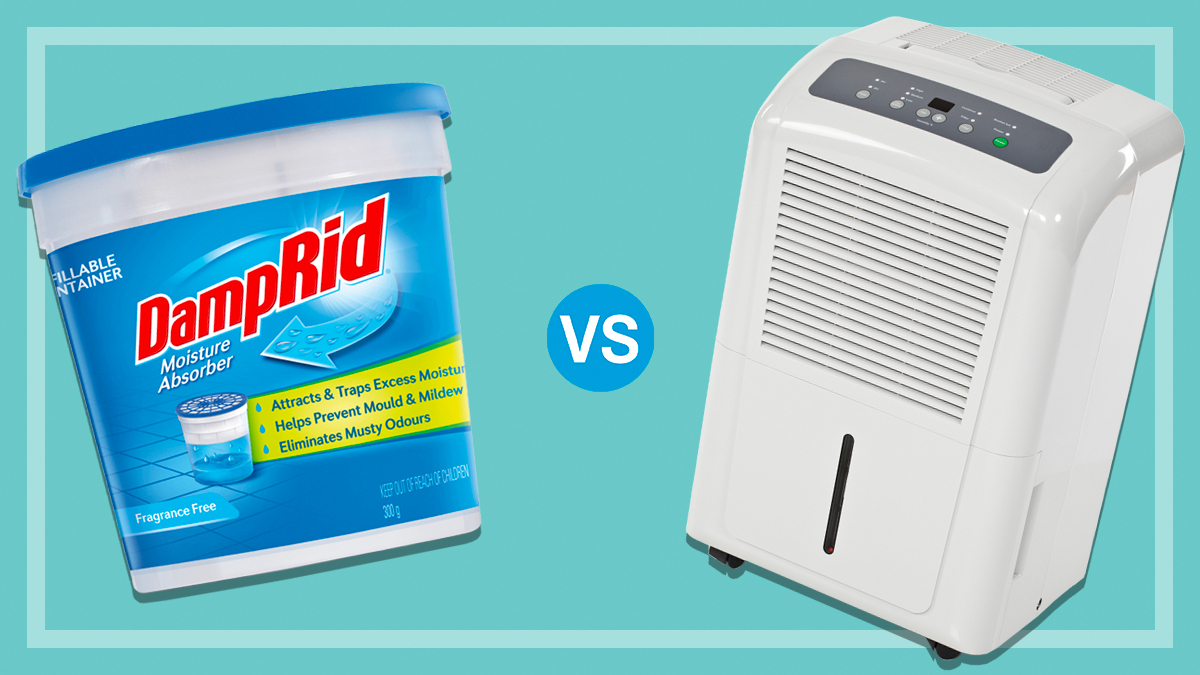 What Are Car Dehumidifiers and Why Should You Use Them?