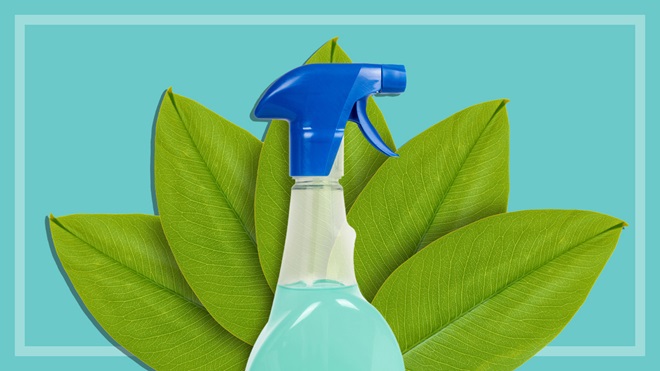 eco spray bottle on leaves teal background