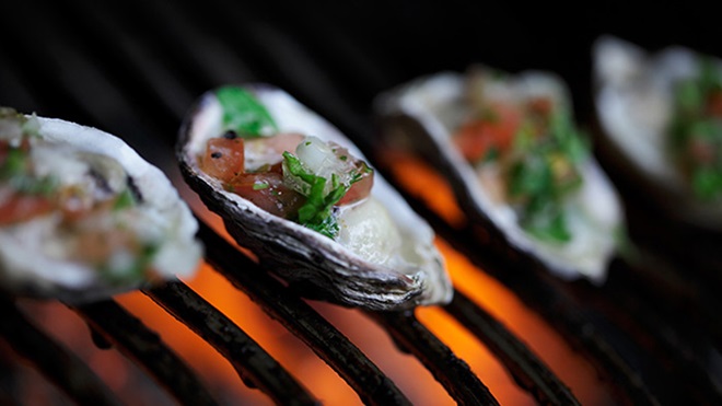 oysters with herbs on a bbq grill lead